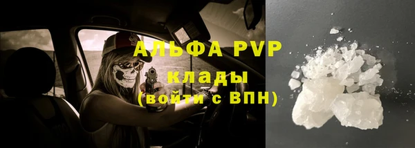 таблы Новозыбков