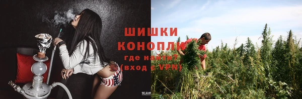 таблы Новозыбков