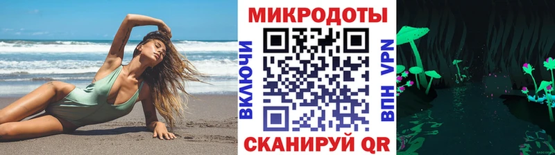 Псилоцибиновые грибы Cubensis  купить   Курильск 
